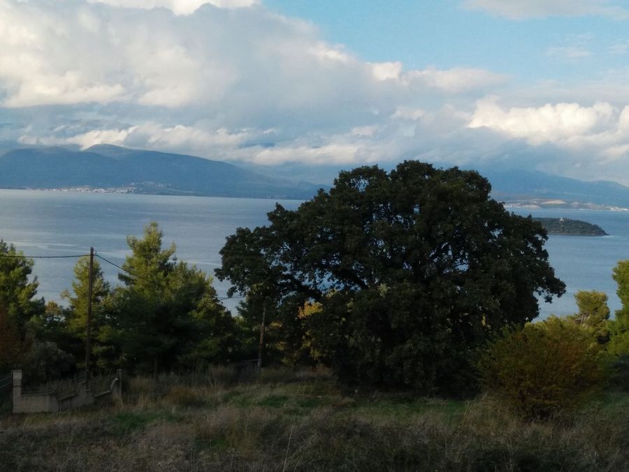 Photo 359976097