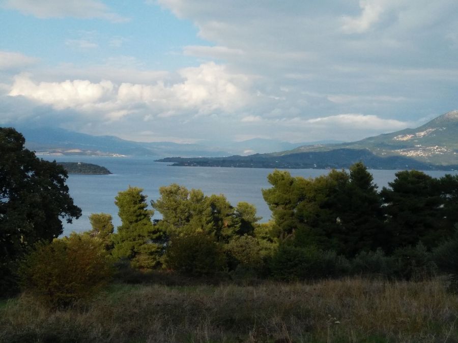 Photo 359976100
