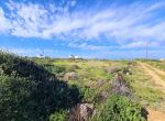 Photo 359979298