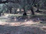 Photo 359979466