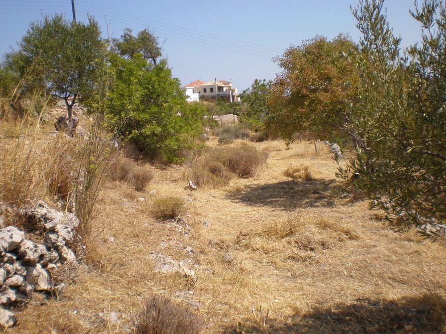 Foto 359979901