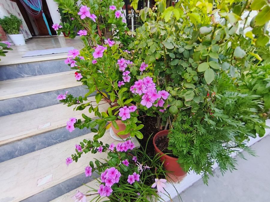 Photo 360098611