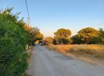 Photo 360098638