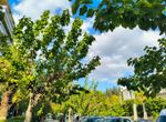 Photo 360237502