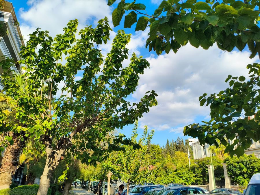 Photo 360237502