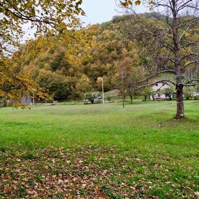 Plot, Kolašin 2
