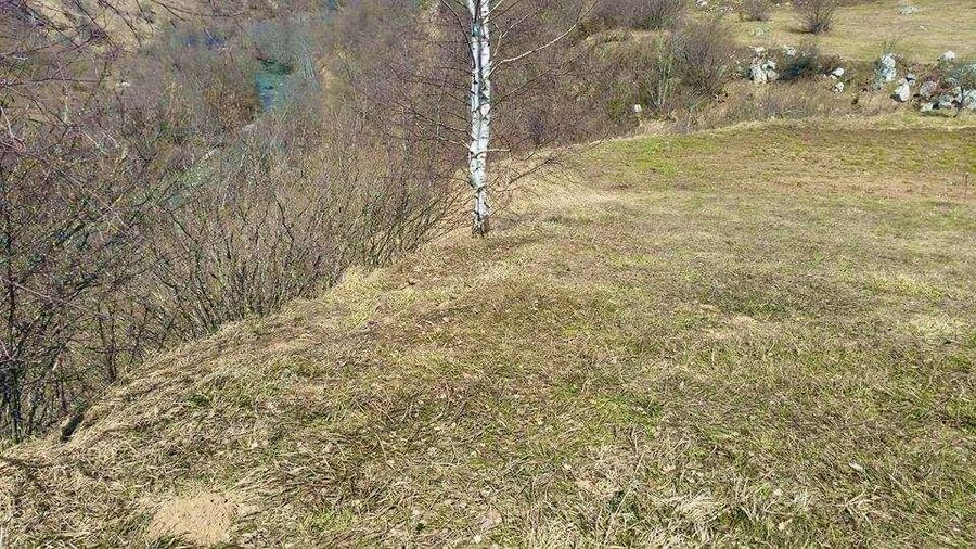 Plot, Kolašin 4