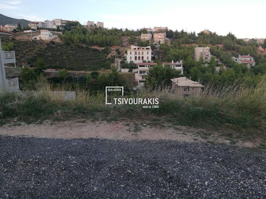 Photo 360421897