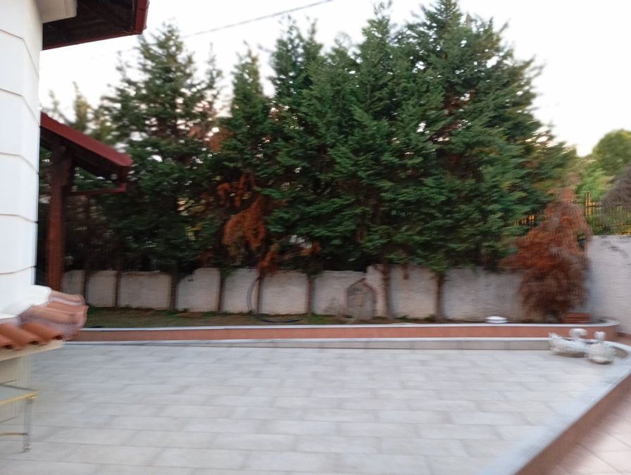 Photo 360472843
