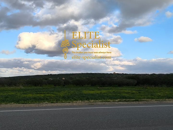 Photo 360538510