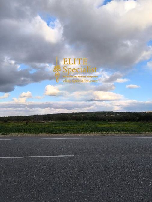 Photo 360538513