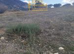 Photo 360539035
