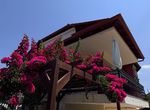 Photo 360609385