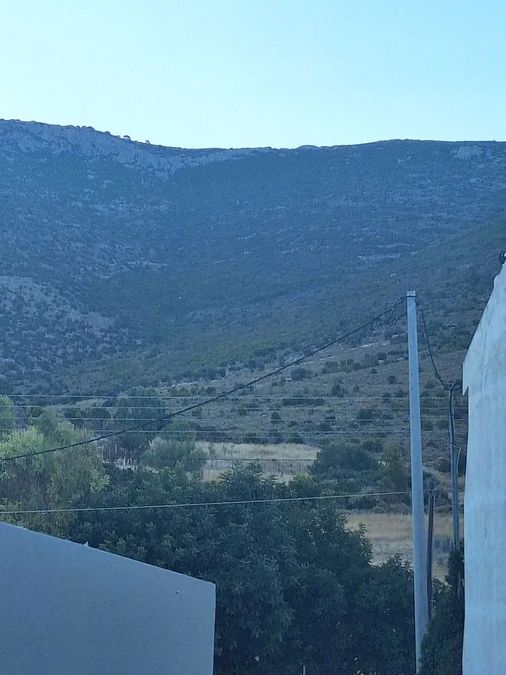 Photo 360758557