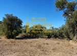 Photo 360799600