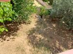 Photo 360967090