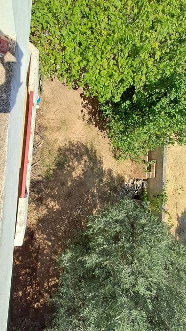 Photo 360968413