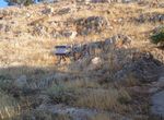 Photo 361067164