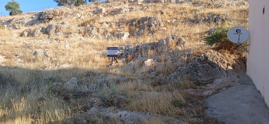 Photo 361067164