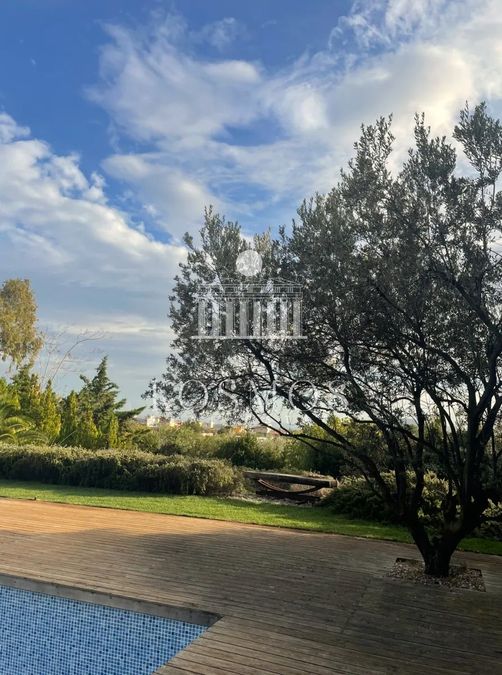 Photo 361183354