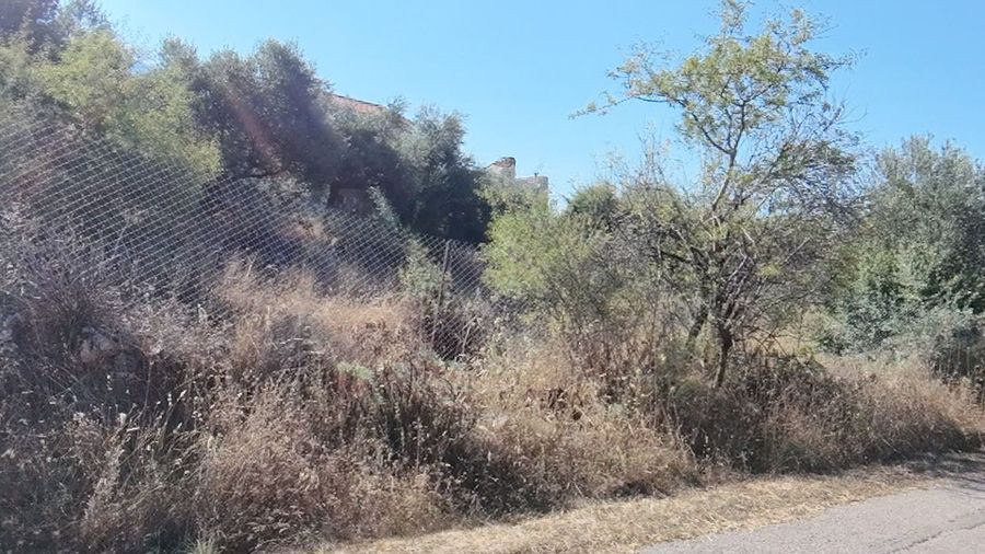 Photo 361502869