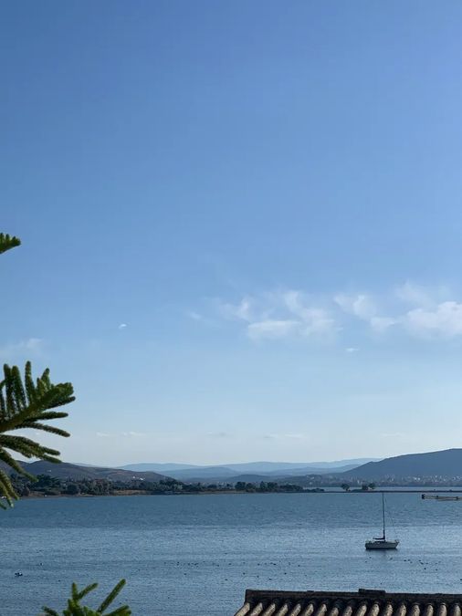 Photo 361506835