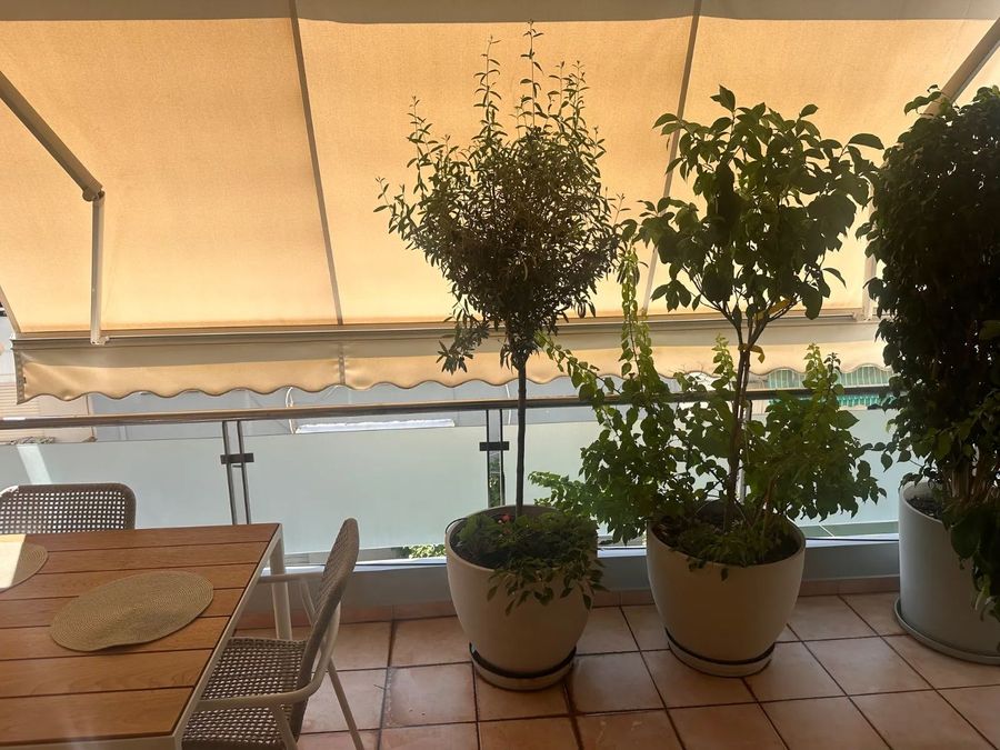 Photo 361726285