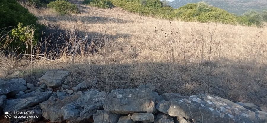 Photo 362188114