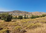 Photo 362215144