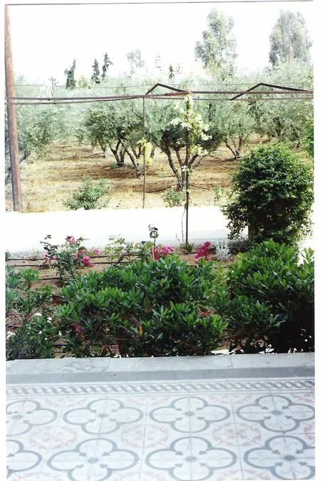 Photo 362287927
