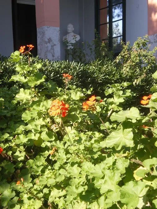 Photo 362287930