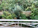 Photo 362290342