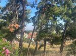 Photo 364285120