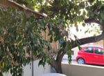 Photo 364798798