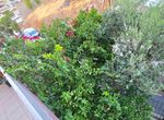 Photo 364927207
