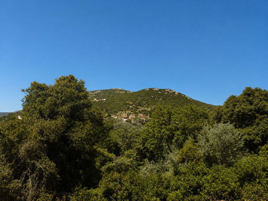 Photo 365157325