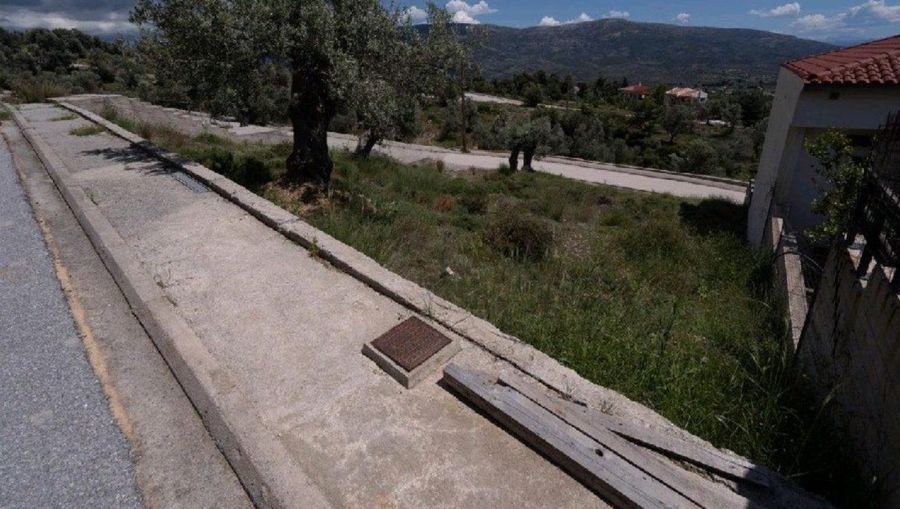 Photo 365375677