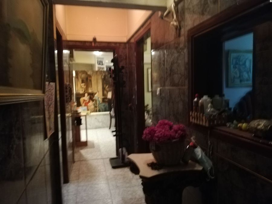 Photo 365376358