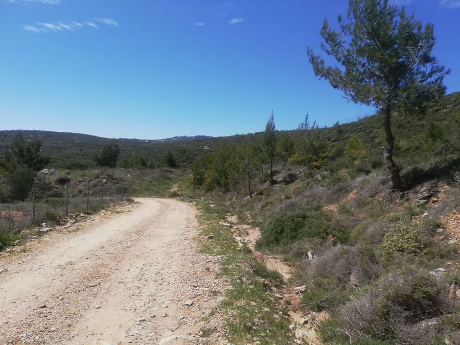 Photo 365377771