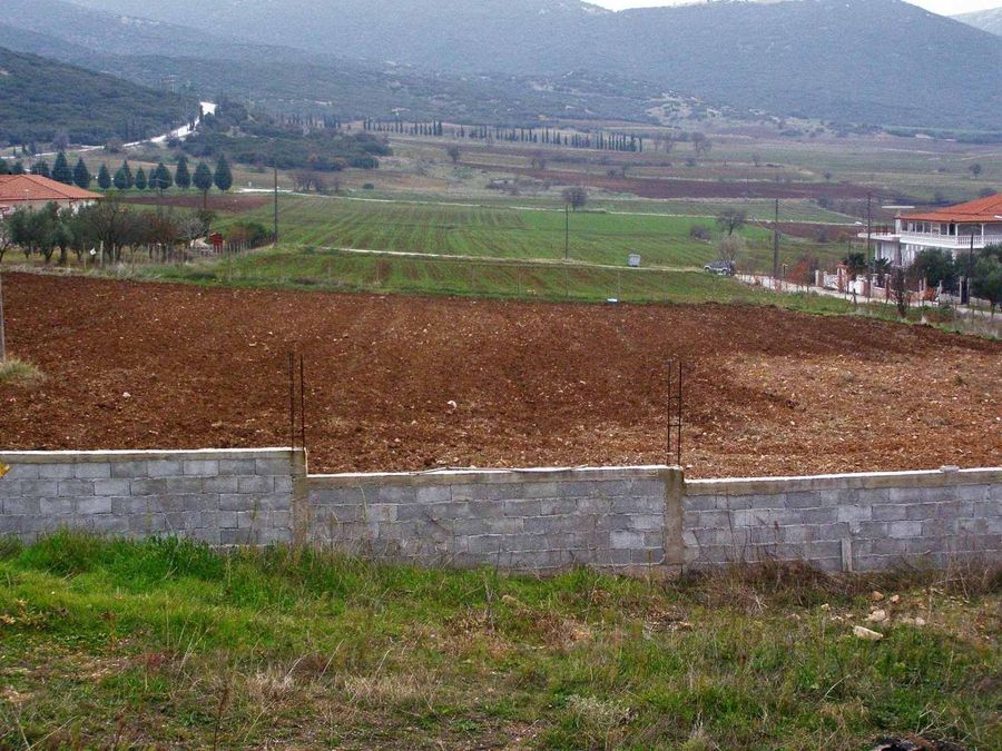Photo 365991712