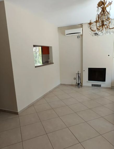 Photo 366119503
