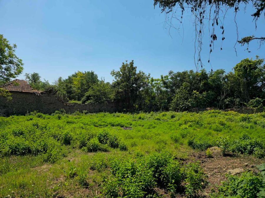 Снимка 366318487