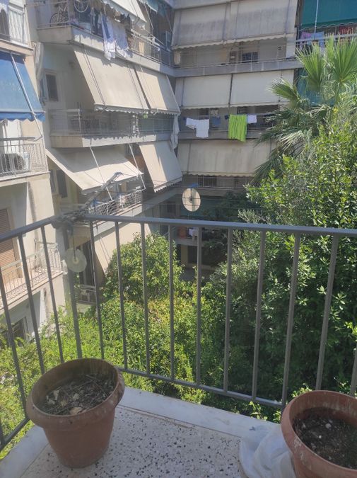 Photo 366351016
