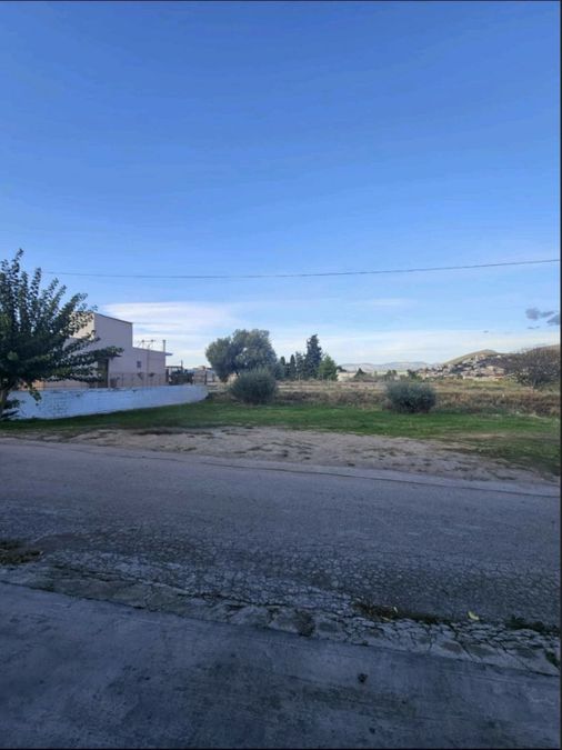 Photo 366807607