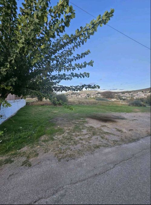 Photo 366807610