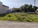 Photo 366807613