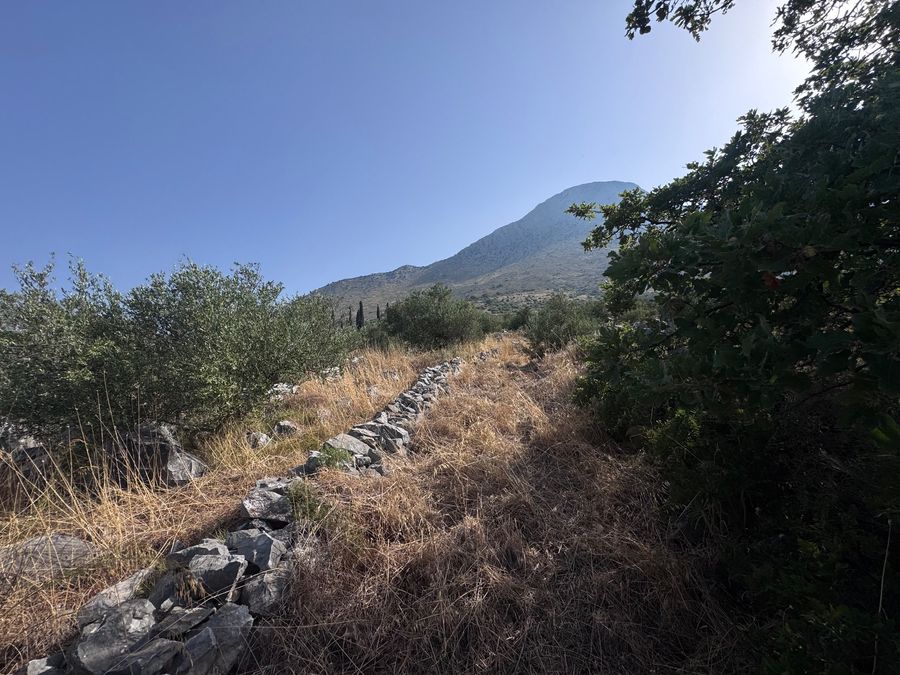 Photo 367016326