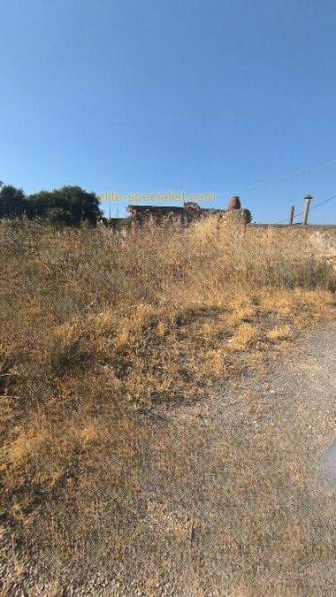 Photo 367146577