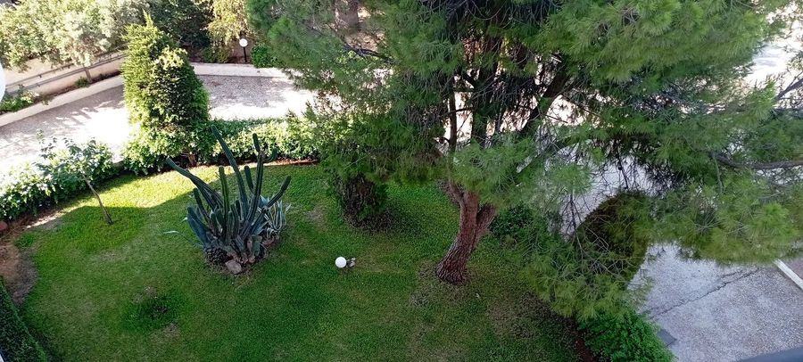 Photo 367276609