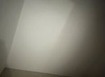 Photo 367281310